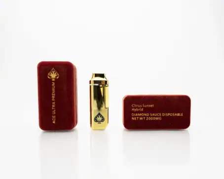 Ace Ultra Premium 2g Disposable Vape