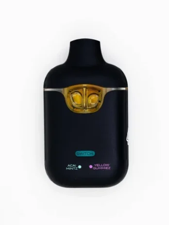 Boutiq Dual Disposable- Boutiq Acai Mintz
