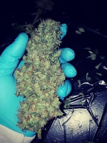 fire og strain