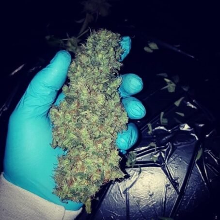 fire og strain