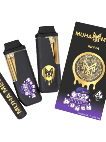 Muha meds purple punch disposable