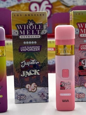 Whole Melts Disposable 100 pack variety box