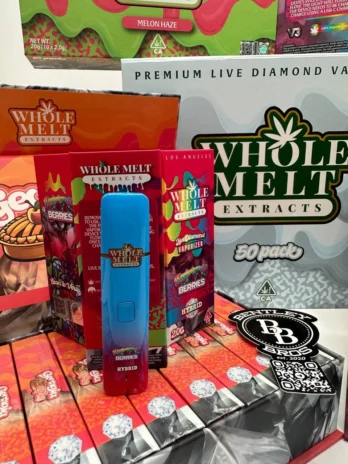 Whole Melts Disposable 100 pack variety box