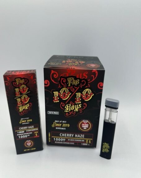 10/10 Boys 1ML Vape