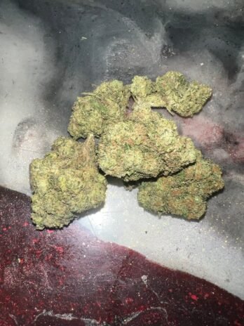 jolly rancher strain