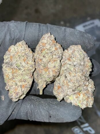 JUNGLE CAKE
