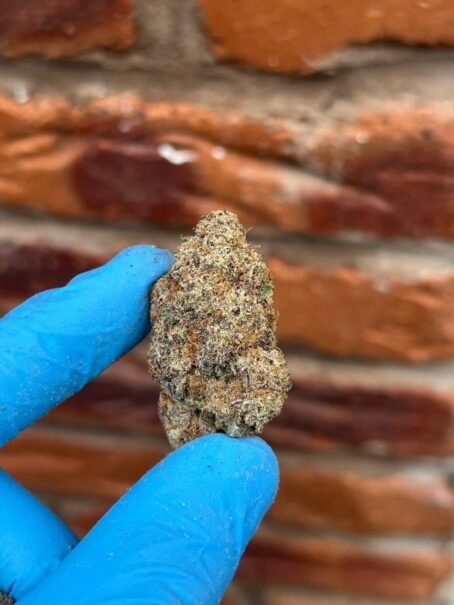 Zkittlez