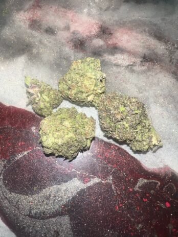 Lemon Cherry Gelato Strain